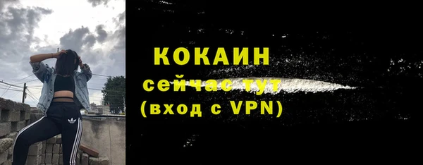 гашик Белоозёрский