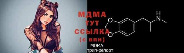 ПСИЛОЦИБИНОВЫЕ ГРИБЫ Белокуриха