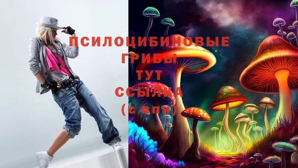 ПСИЛОЦИБИНОВЫЕ ГРИБЫ Белокуриха