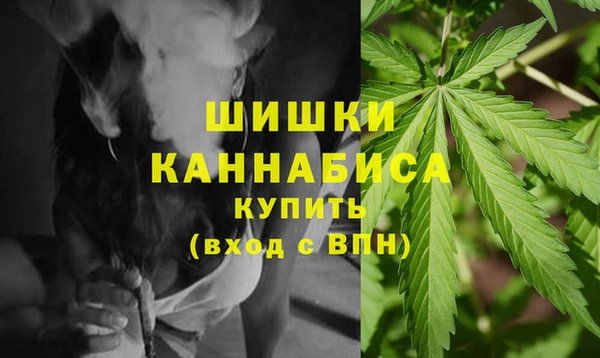 ПСИЛОЦИБИНОВЫЕ ГРИБЫ Белокуриха