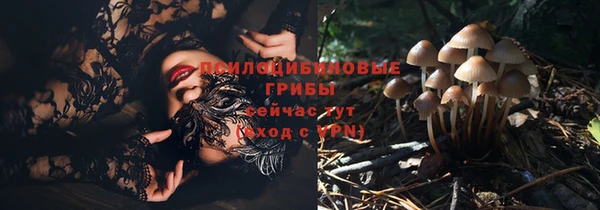 гашик Белоозёрский