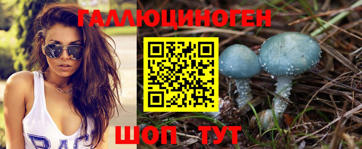 Галлюциногенные грибы прущие грибы Воркута