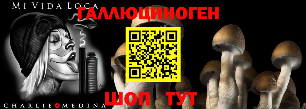 Воркута  Псилоцибиновые грибы прущие грибы  Вход с VPN 