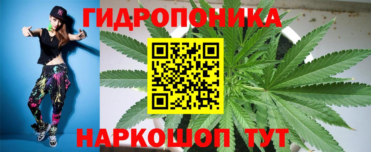 Бошки марихуана гибрид Воркута